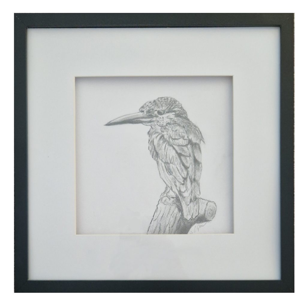 Eisvogel Graffiti auf Büttenpapier, Tiermalerei 25 × 25 cm, detailreich und farbenfroh